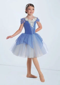 Weissman Mr. Blue Sky