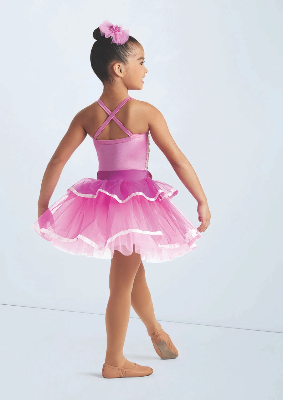 Weissman Crocodile Rock - Image 3